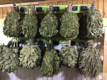 Витрина с вениками в магазине Первая Банная лавка