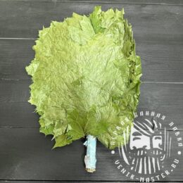 Кленовый веник Брянский